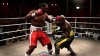 Купить игру Fight Night Round 4 (PS3) USED Б/У для Sony Playstation 3