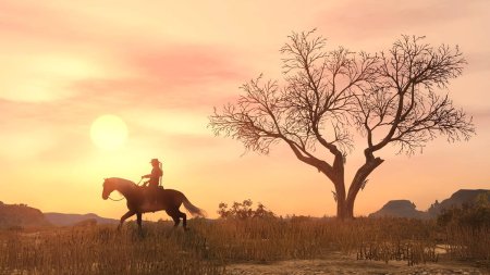 Игра RDR: Red Dead Redemption (PS4) Playstation 4