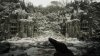 Игра Resident Evil 8 Village Золотое издание (Gold Edition) Русская Версия (PS4/PS5) Playstation 4