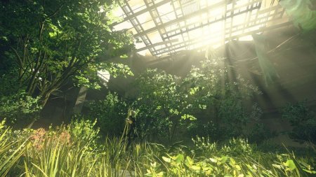 Игра NieR: Automata. Game of the YoRHa Edition (PS4) Playstation 4