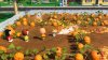 игра Snoopy & The Great Mystery Club (Switch) для Nintendo Switch