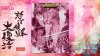 игра DoDonPachi Resurrection (Switch) для Nintendo Switch