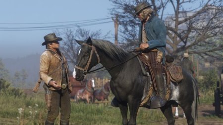 Игра RDR 2: Red Dead Redemption 2 Русская Версия (PS4) USED Б/У Playstation 4