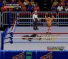 Реслинг Королевская битва (WWF Royal Rumble) (16 bit) 