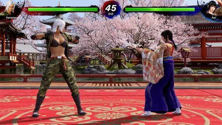 Virtua Fighter 5 R.E.V.O. World Stage (Switch 2)