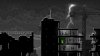 игра Zombie Night Terror Русская Версия (Switch) для Nintendo Switch