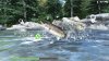 игра Reel Fishing: Road Trip Adventure (Switch) для Nintendo Switch