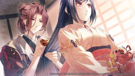 игра Winter's Wish: Spirits of Edo (Switch) для Nintendo Switch