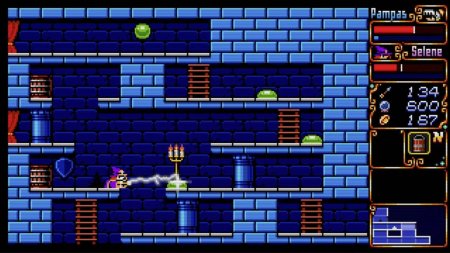 игра Pampas and Selene Русская Версия (Switch) для Nintendo Switch