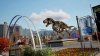 Bus Bound Deluxe Edition Русская Версия (PS5)