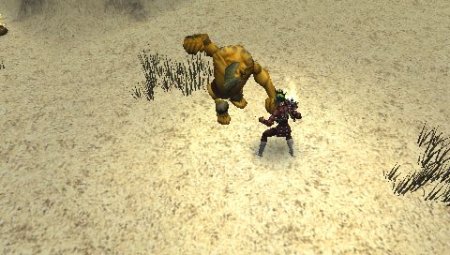  Dungeon Siege: Throne of Agony (PSP) 