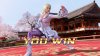 Virtua Fighter 5 R.E.V.O. World Stage 30-летие Юбилейное Издание (30th Anniversary Edition) (Switch 2)