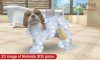 Купить игру Nintendogs + Cats: Голден-ретривер и новые друзья. Русская Версия (Nintendo 3DS) на 3DS