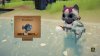 игра Whisker Waters (Switch) для Nintendo Switch