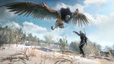 игра Ведьмак 3: Дикая Охота (The Witcher 3: Wild Hunt) Русская Версия (Switch) для Nintendo Switch