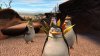 Купить игру Мадагаскар 2: Побег в Африку (Madagascar: Escape 2 Africa) (PS3) USED Б/У для Sony Playstation 3