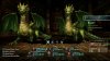 игра Wizardry: Proving Grounds of the Mad Overlord (Switch) для Nintendo Switch