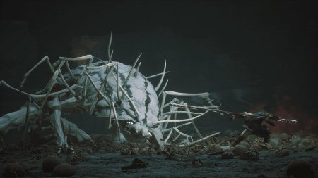 Black Myth: Wukong Русская Версия (PS5)