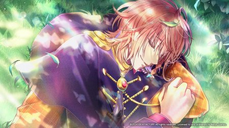 игра Mistonia's Hope -The Lost Delight- (Switch) для Nintendo Switch