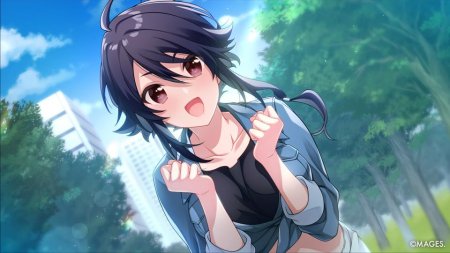 игра SINce Memories: Off The Starry Sky (Switch) для Nintendo Switch