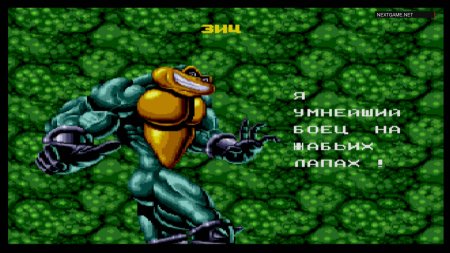 Боевые Жабы и Двойной Дракон (Battletoads and Double Dragon) Русская Версия (16 bit) 