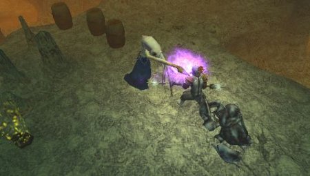  Dungeon Siege: Throne of Agony (PSP) 