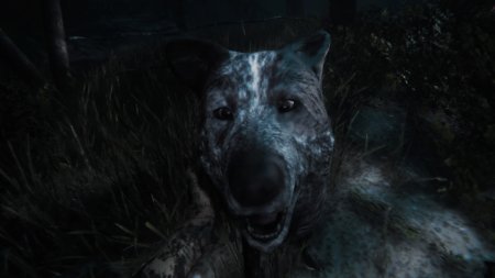 Maid of Sker (Limited Run #002) Русская Версия (PS5)