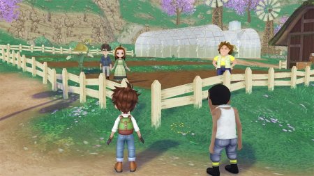 игра Story of Seasons: A Wonderful Life (Switch) для Nintendo Switch