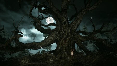 игра Kholat Русская Версия (Switch) для Nintendo Switch
