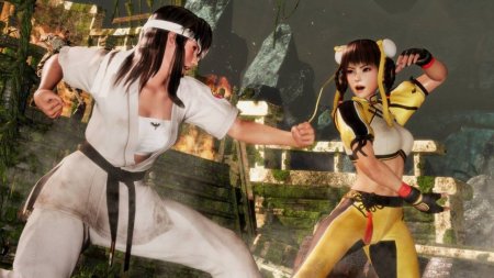 Игра Dead or Alive 6 (VI) (PS4) Playstation 4