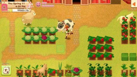 Игра Harvest Moon: Light of Hope Special Edition (PS4) Playstation 4