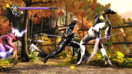 Купить игру Ninja Gaiden Sigma (PS3) для Sony Playstation 3