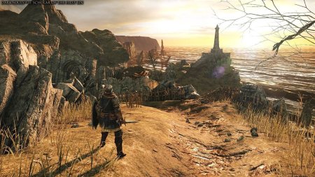 Игра Dark Souls Trilogy (Трилогия) Русская Версия (PS4) Playstation 4