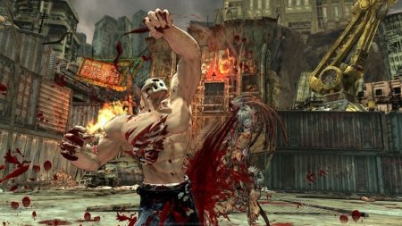 Splatterhouse (Xbox 360) USED Б/У