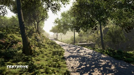 Test Drive Unlimited Solar Crown Русская Версия (PS5)