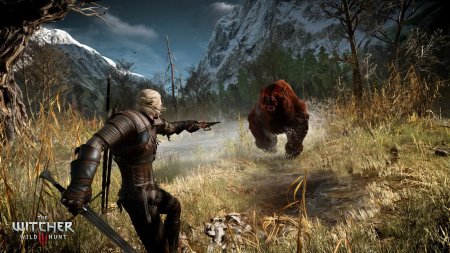 Игра Ведьмак 3: Дикая Охота (The Witcher 3: Wild Hunt) Издание Игра Года (Game of the Year Edition) Русская Версия (PS4/PS5) USED Б/У Playstation 4