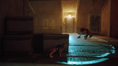 Stray Русская Версия (PS5)