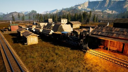 RailRoads Online Pioneer Edition Русская Версия (PS5)