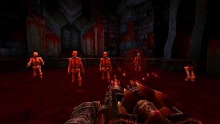 игра Wrath: Aeon of Ruin Русская Версия (Switch) для Nintendo Switch