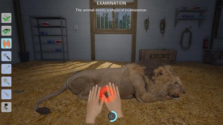 My Vet Practice in the Zoo Русская Версия (PS5)