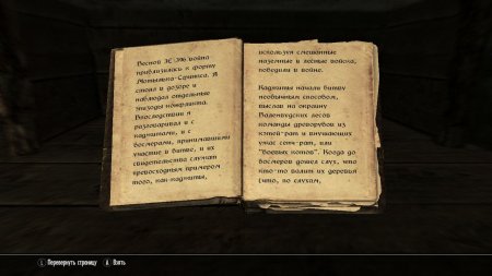 игра The Elder Scrolls 5 (V): Skyrim Русская Версия (Switch) для Nintendo Switch