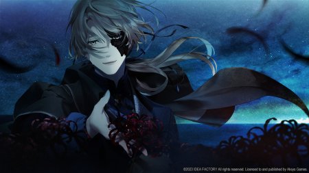 игра Virche Evermore -EpiC: Lycoris- (Switch) для Nintendo Switch