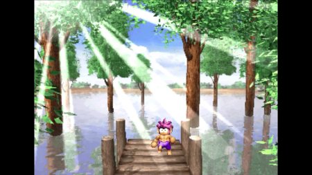 игра Tomba! Специальное Издание (Special Edition) (Limited Run #245) (Switch) для Nintendo Switch