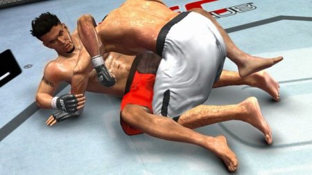 Купить игру UFC 2009 Undisputed (PS3) USED Б/У для Sony Playstation 3