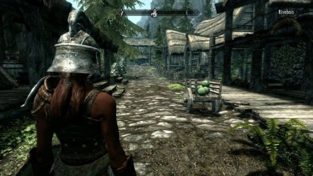 The Elder Scrolls 5 (V): Skyrim с поддержкой kinect (Xbox 360)