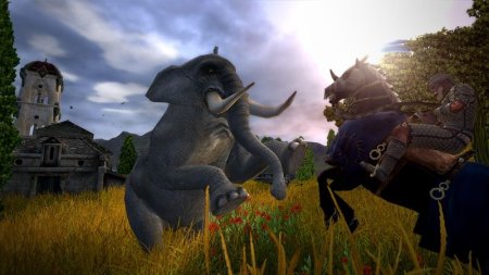 Age of Conan: Hyborian Adventures Русская Версия Jewel (PC) 