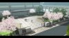 игра Tokyo Xanadu eX+ (Switch) для Nintendo Switch