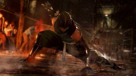Игра Dead or Alive 6 (VI) (PS4) Playstation 4