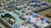 игра Two Point Hospital Русская Версия (Switch) для Nintendo Switch