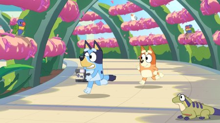 игра  Bluey's Happy Snaps Deluxe Edition (Switch) для Nintendo Switch